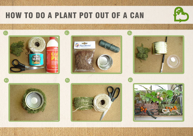 CAN&MOSS POT