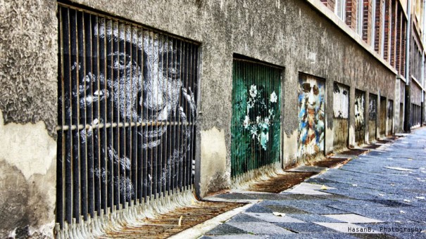 Zebrating street art 10