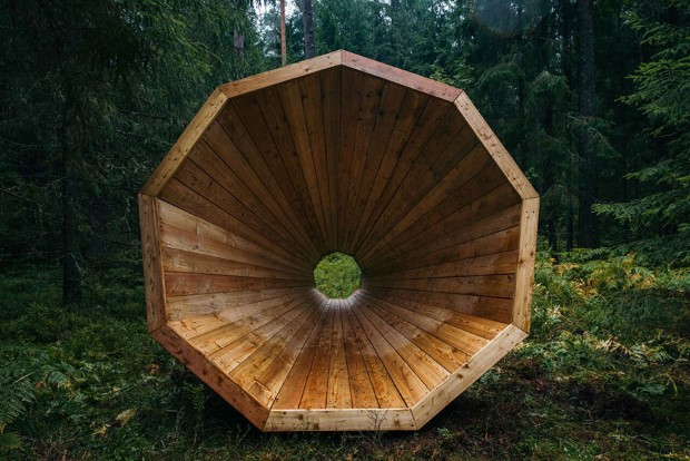 Obrovské drevené megafóny uprostred lesa zosilňujú zvuk lesa 2