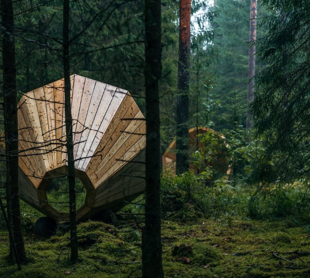 Obrovské drevené megafóny uprostred lesa zosilňujú zvuk lesa 3