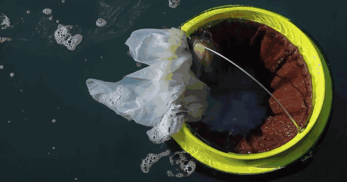 Andrew Turton Pete Ceglinski Seabin kose ktore vycistia ocean od odpadu 1