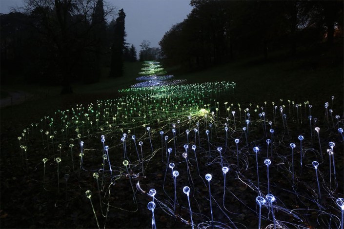 Bruce Munro Pole svetiel Uluru Australia 10