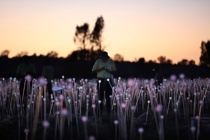 Bruce Munro Pole svetiel Uluru Australia 11