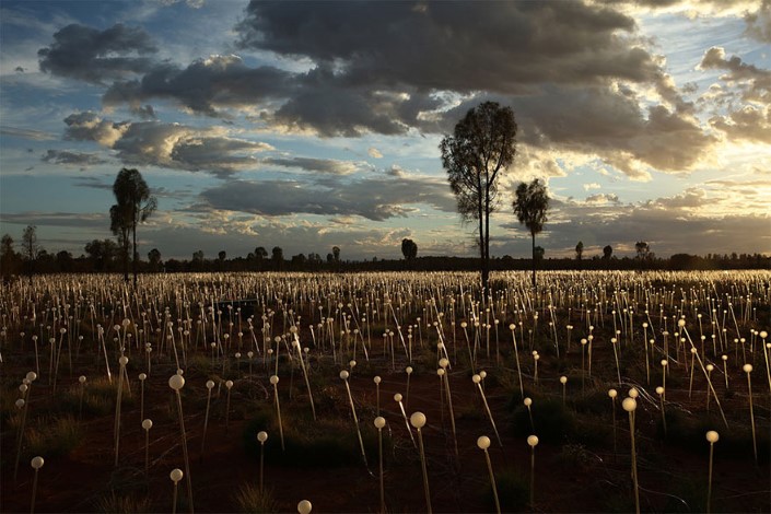 Bruce Munro Pole svetiel Uluru Australia 3