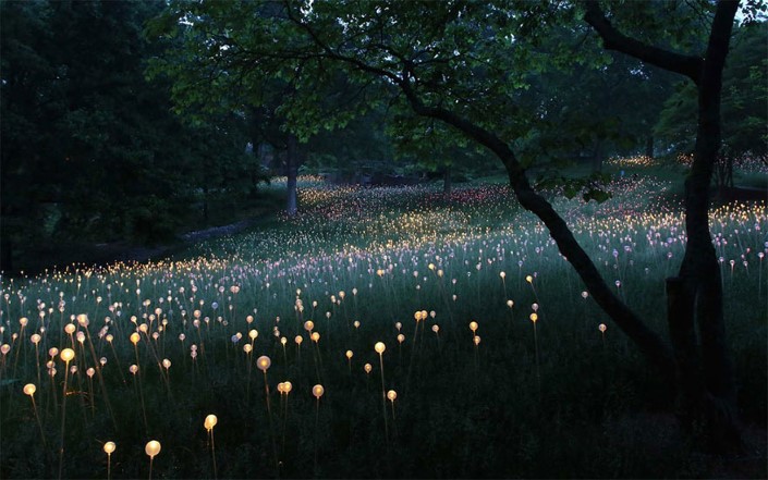 Bruce Munro Pole svetiel Uluru Australia 4