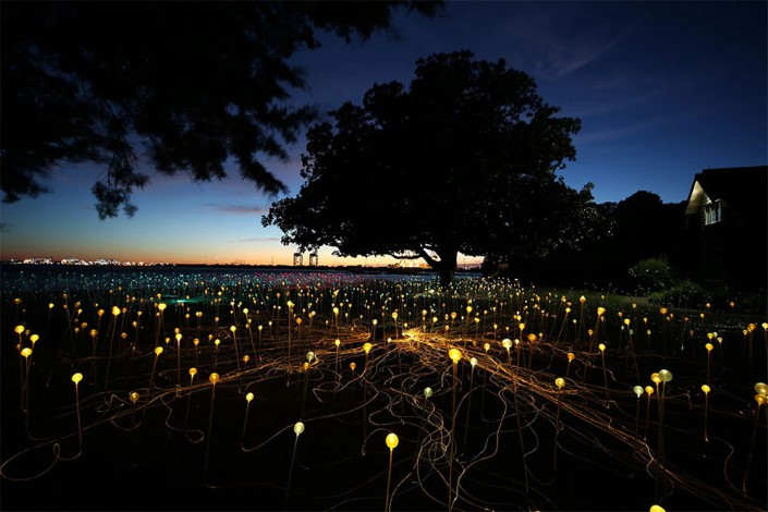 Bruce Munro Pole svetiel Uluru Australia 5