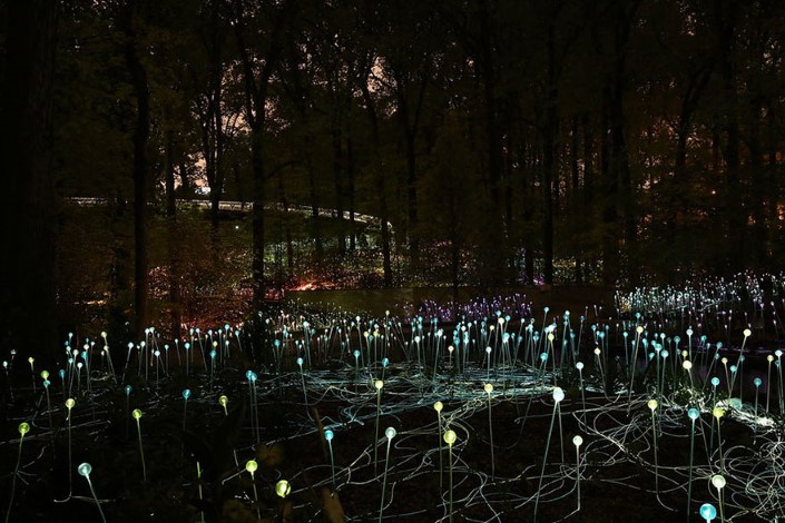 Bruce Munro Pole svetiel Uluru Australia 7