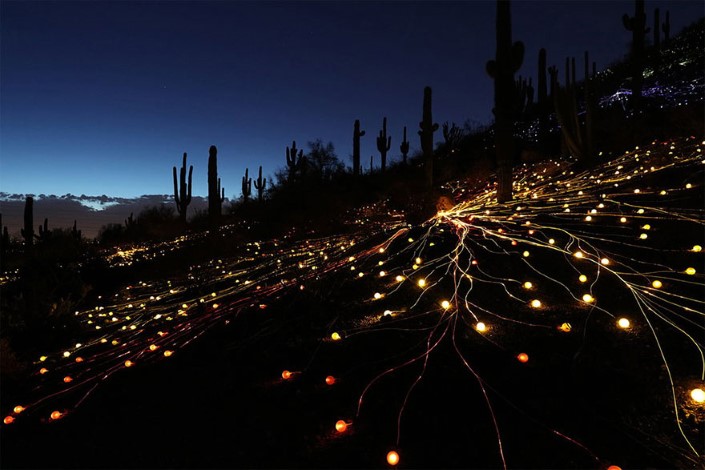 Bruce Munro Pole svetiel Uluru Australia 9