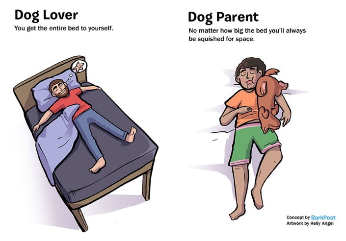 rozdiely medzi milovnikom a majitelom psa 1