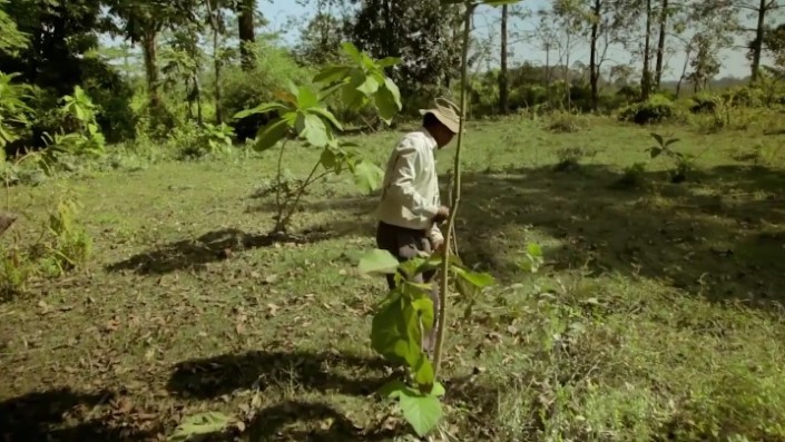 Jadav Payeng majuli vysadzanie stromcekov 5