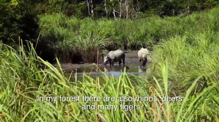 Jadav Payeng majuli vysadzanie stromcekov 9