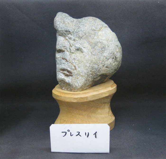 v-japonsku-maju-muzeum-s-kamenmi-s-ludskymi-tvarami-aj-celebrity-3