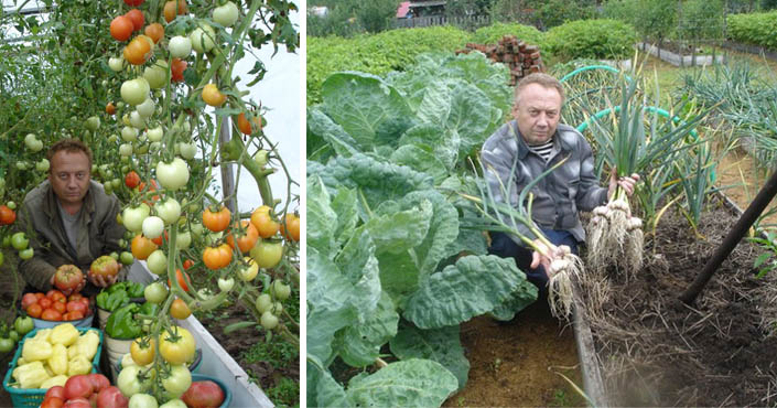 Spoznajte tajomstvá najúrodnejšej záhrady, ktorou sa pýši pestovateľ Igor Ljadov