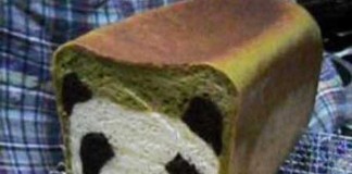 panda chlebík