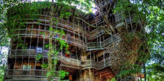 Najväčší stromový dom na svete | Horace Burgess