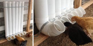 Kŕmidla z PVC rúr nielen pre sliepky | Kreatívny DIY nápady a návody