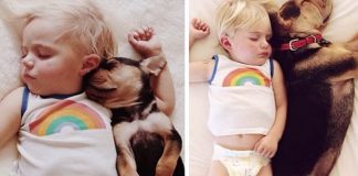 Roztomilé fotografie spiaceho chlapčeka a jeho psíka