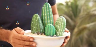 Kamienkové kaktusy | DIY návod na jednoduchú kaktusovú dekoráciu