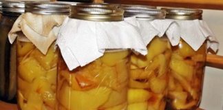 Domáci jablčný ocot | Dva spôsoby ako si vyrobiť ocot z jabĺk