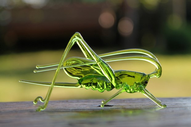 Handmade fauna a flóra zo skla technikou lampworking | Nikita Drachuk 1