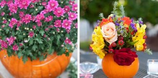 Tekvicové kvetináče a vázy ozdobia izbu, terasu či stôl | Kreatívne nápady