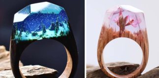 Drevené prstene ukrývajú miniatúrne svety | Secret Wood