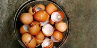 Ako využiť škrupinky od vajíčka | 3 dôvody prečo ich nevyhadzovať