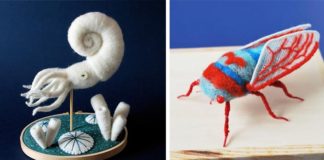 Plstené hračky netradičných zvierat | Hine Mizushima