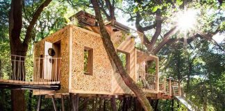 Luxusný domček na strome The Woodman's Treehouse