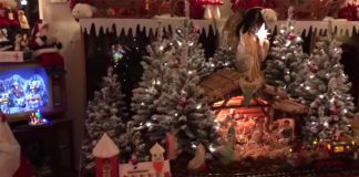 Milovník vianočnej výzdoby Jack Baremans a jeho vianočne vyzdobený byt