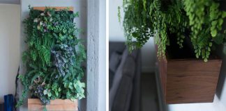Samozavlažovacie vertikálne záhradky oživia stenu a dotvoria atmosféru