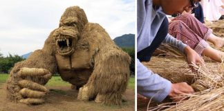 Slamené sochy zvierat po ryžovej žatve | Wara Art Festival v Japonsku