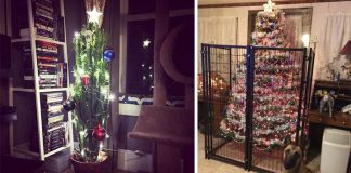 Ako ochrániť vianočný stromček pred domácimi miláčikmi? Nápady ako!