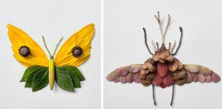 Kvetinové kompozície formované do tvaru motýľov a molí | Raku Inoue