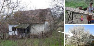 Svojpomocná rekonštrukcia domu na útulnú víkendovú chalúpku s 40 m²