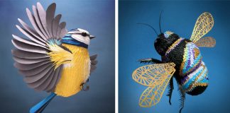 Sochy z papiera v podobe vtákov, včiel a iných zvierat | Lisa Lloyd