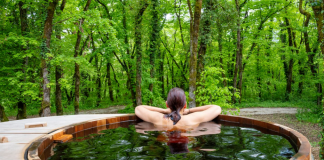 Vonkajšie sauny, drevené altánky a prístrešky a detské záhradné hojdačky v záhrade.