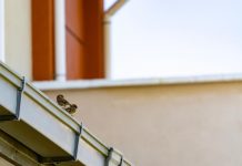 Dôležité a pritom podceňované detaily vybavenia komfortnej domácnosti